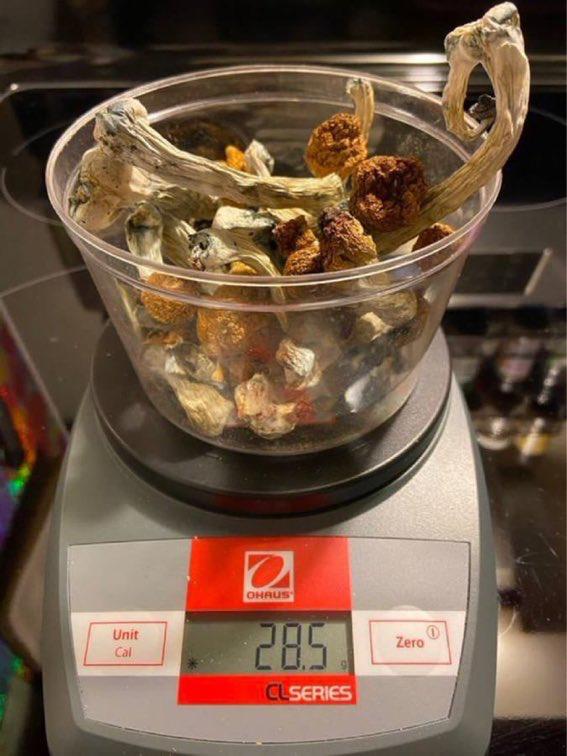 dried shrooms scaled 1